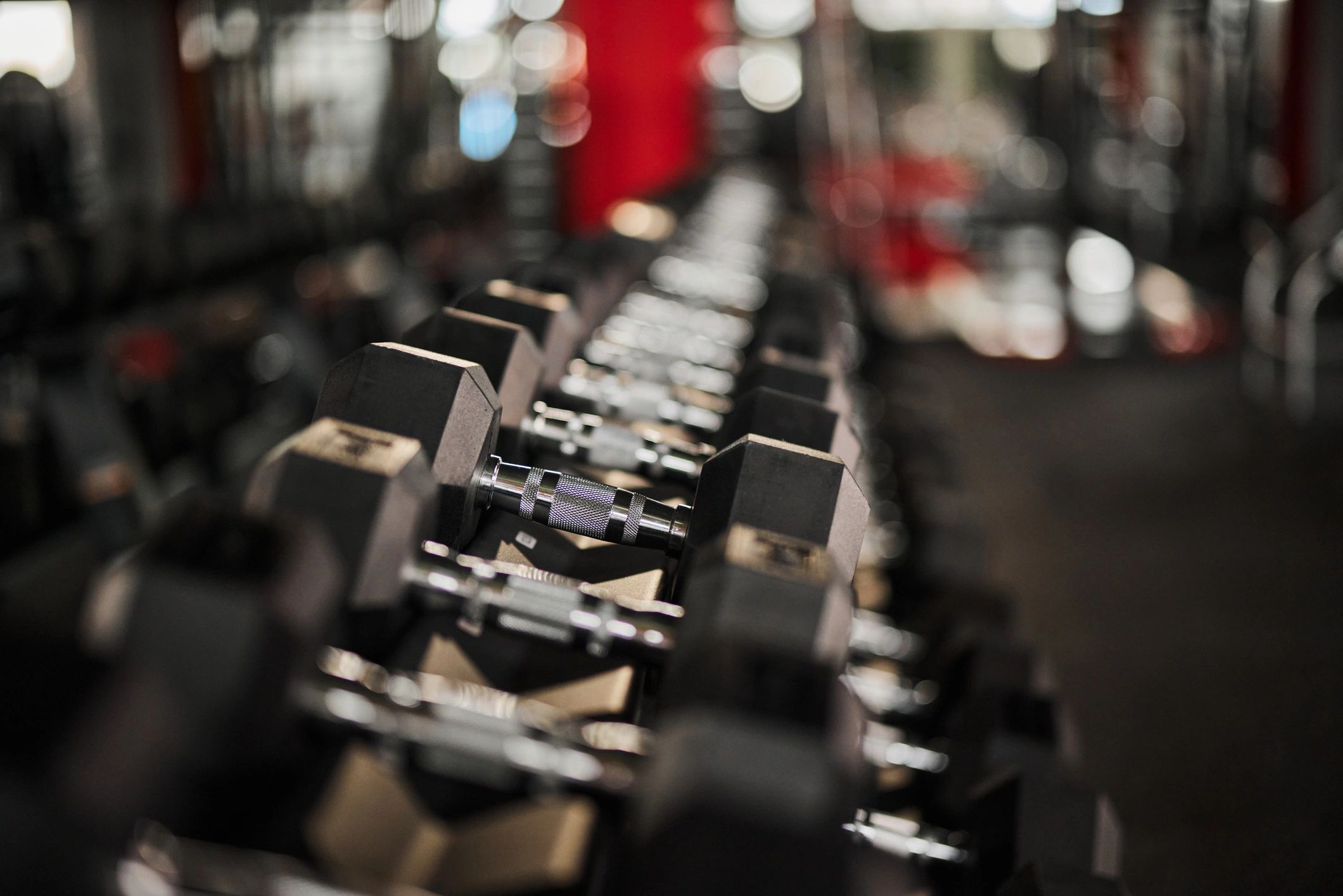 Close-up of dumbbells on a gym rack
